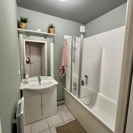 Sur Oiseaux Cayeux-sur-Mer