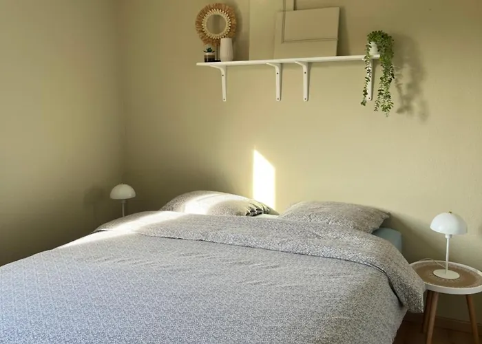 Apartamento Sur Oiseaux *