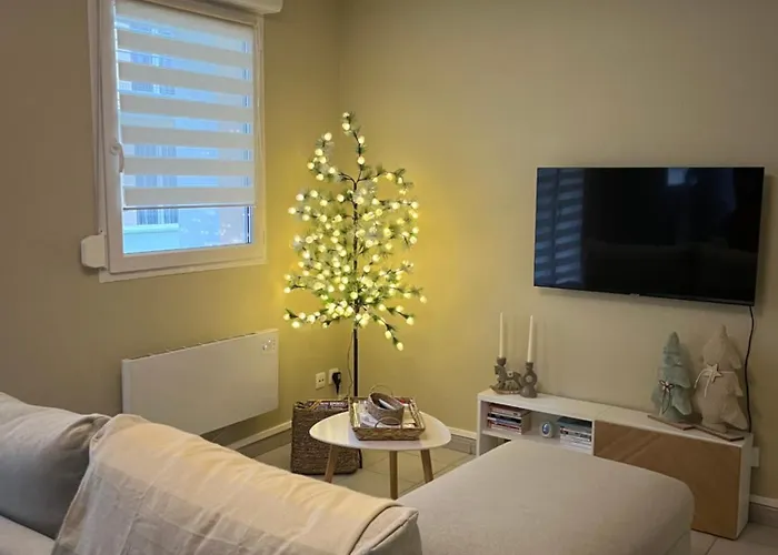 Sur Oiseaux Apartamento